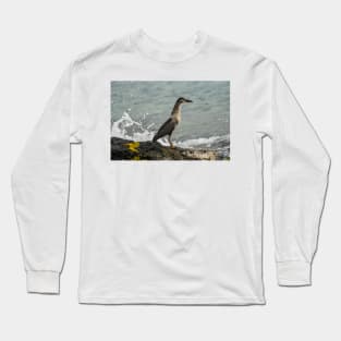 Black-crowned night heron of hawaii 8 Long Sleeve T-Shirt